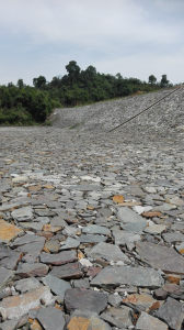 1565850273175669.jpg 201611100922587008.jpg