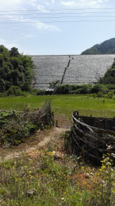 1565850305697252.jpg 201611100922144031.jpg